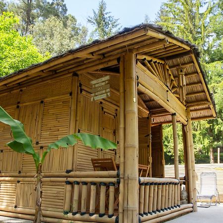 Suite Bambou Bien-Etre A Bali - Le Soleil Des Cevennes Saint-Jean-du-Gard Luaran gambar