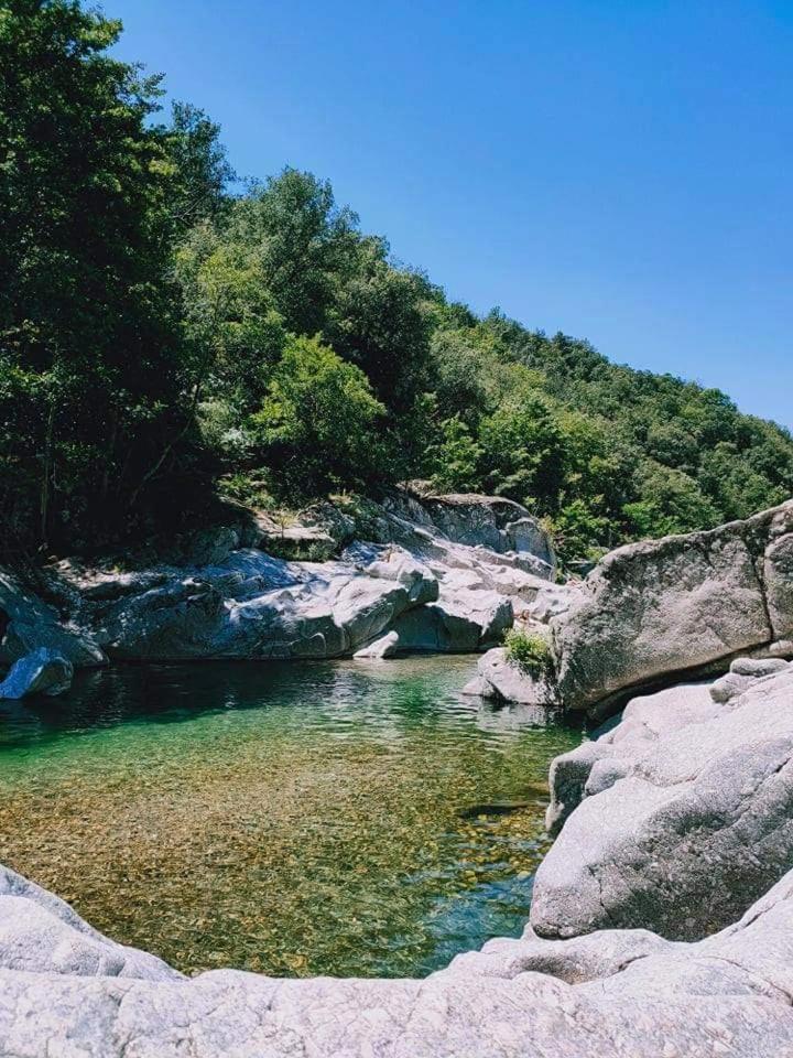 Suite Bambou Bien-Etre A Bali - Le Soleil Des Cevennes Saint-Jean-du-Gard Luaran gambar